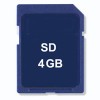 SD Card